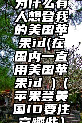 为什么有人想登我的美国苹果id(在国内一直用美国苹果id )（苹果登美国ID要注意哪些）