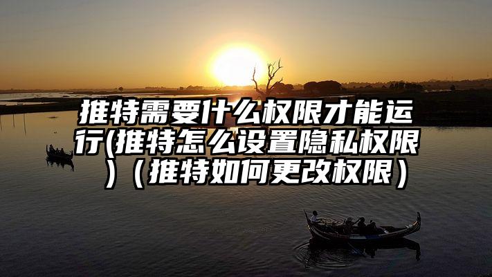 推特需要什么权限才能运行(推特怎么设置隐私权限 )（推特如何更改权限）