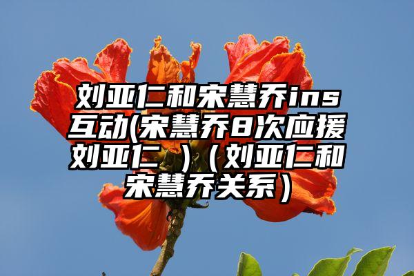 刘亚仁和宋慧乔ins互动(宋慧乔8次应援刘亚仁 )（刘亚仁和宋慧乔关系）