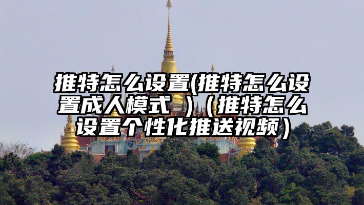 推特怎么设置(推特怎么设置成人模式 )（推特怎么设置个性化推送视频）