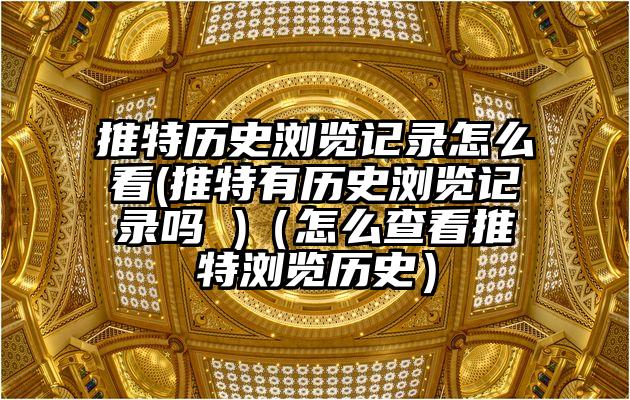 推特历史浏览记录怎么看(推特有历史浏览记录吗 )（怎么查看推特浏览历史）