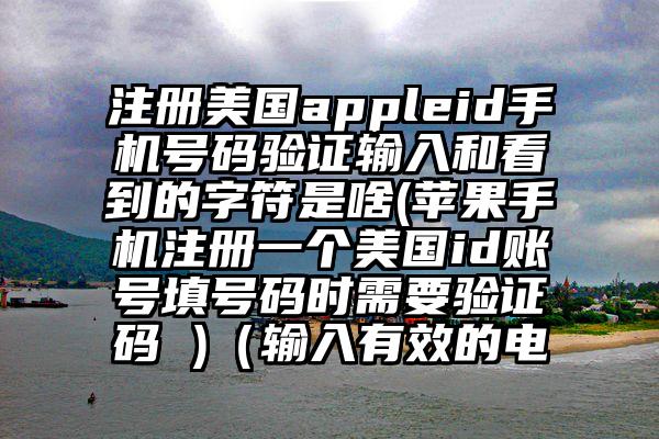 注册美国appleid手机号码验证输入和看到的字符是啥(苹果手机注册一个美国id账号填号码时需要验证码 )（输入有效的电