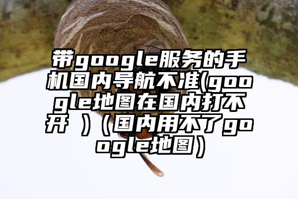 带google服务的手机国内导航不准(google地图在国内打不开 )（国内用不了google地图）