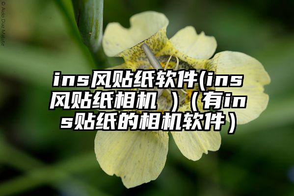 ins风贴纸软件(ins风贴纸相机 )（有ins贴纸的相机软件）