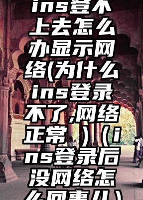 ins登不上去怎么办显示网络(为什么ins登录不了,网络正常 )（ins登录后没网络怎么回事儿）