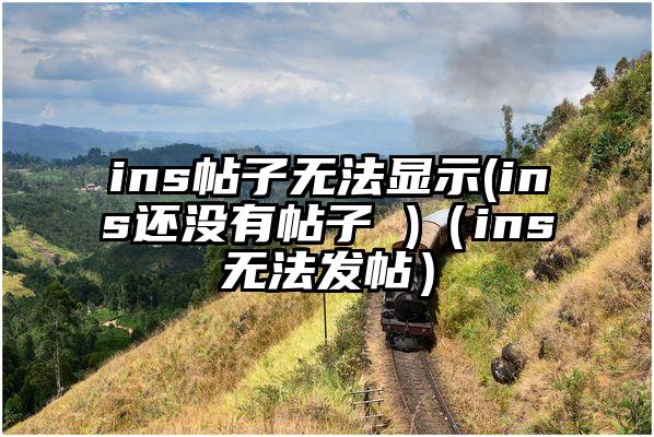 ins帖子无法显示(ins还没有帖子 )（ins无法发帖）