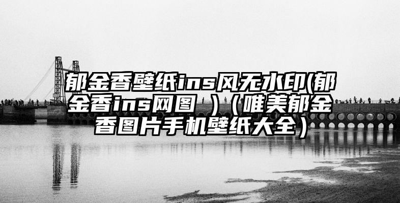 郁金香壁纸ins风无水印(郁金香ins网图 )（唯美郁金香图片手机壁纸大全）