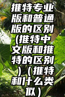 推特专业版和普通版的区别(推特中文版和推特的区别 )（推特和什么类似）