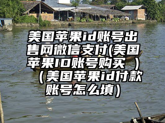 美国苹果id账号出售网微信支付(美国苹果ID账号购买 )（美国苹果id付款账号怎么填）