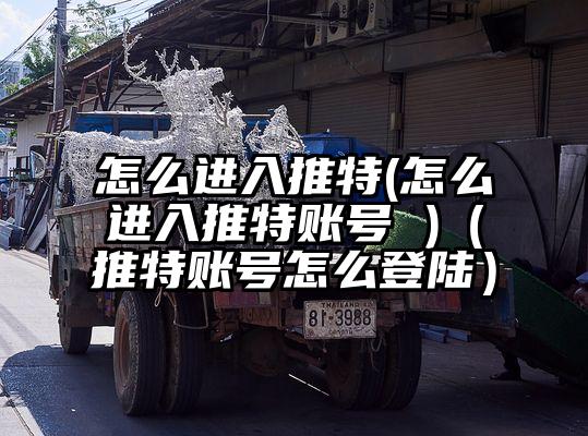 怎么进入推特(怎么进入推特账号 )（推特账号怎么登陆）