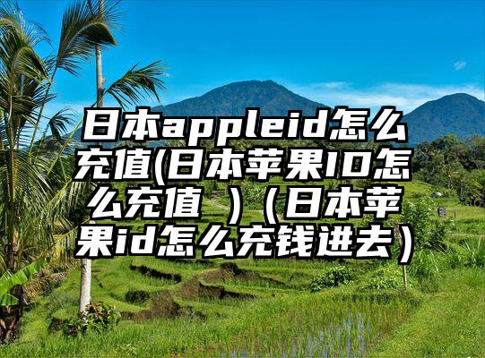 日本appleid怎么充值(日本苹果ID怎么充值 )（日本苹果id怎么充钱进去）