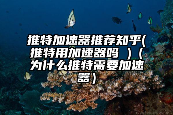 推特加速器推荐知乎(推特用加速器吗 )（为什么推特需要加速器）