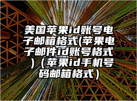 美国苹果id账号电子邮箱格式(苹果电子邮件id账号格式 )(苹果id手机号码邮箱格式)