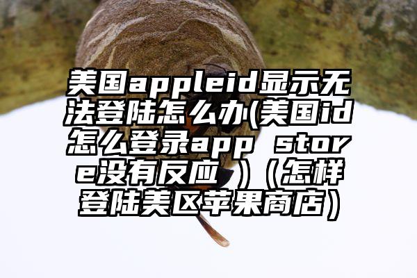 美国appleid显示无法登陆怎么办(美国id怎么登录app store没有反应 )（怎样登陆美区苹果商店）