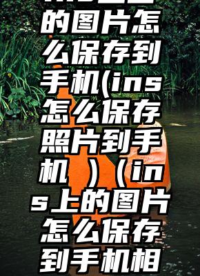 ins上面的图片怎么保存到手机(ins怎么保存照片到手机 )（ins上的图片怎么保存到手机相册）