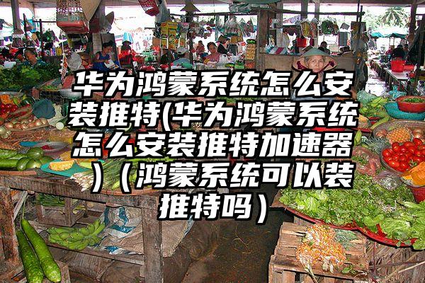 华为鸿蒙系统怎么安装推特(华为鸿蒙系统怎么安装推特加速器 )(鸿蒙系统可以装推特吗)