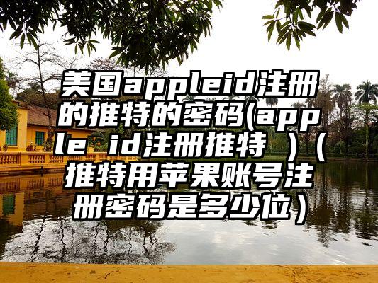 美国appleid注册的推特的密码(apple id注册推特 )（推特用苹果账号注册密码是多少位）