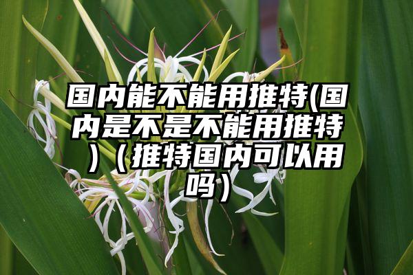 国内能不能用推特(国内是不是不能用推特 )（推特国内可以用吗）
