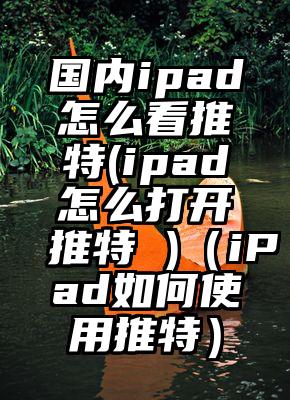 国内ipad怎么看推特(ipad怎么打开推特 )（iPad如何使用推特）