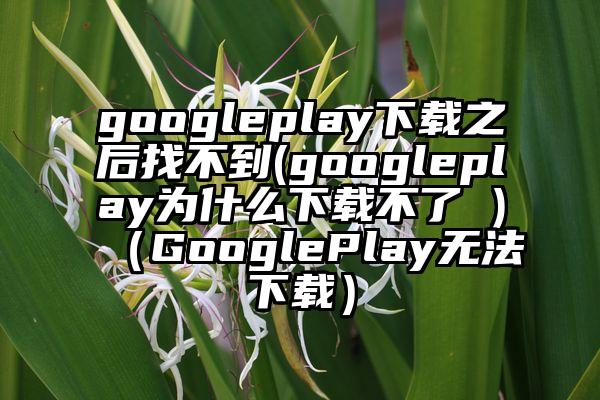 googleplay下载之后找不到(googleplay为什么下载不了 )（GooglePlay无法下载）