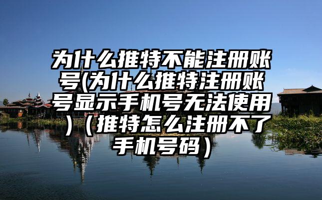 为什么推特不能注册账号(为什么推特注册账号显示手机号无法使用 )(推特怎么注册不了手机号码)