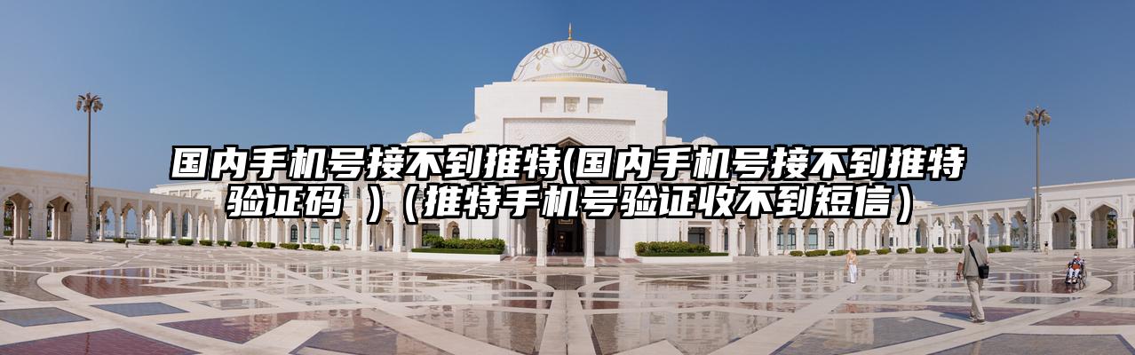 国内手机号接不到推特(国内手机号接不到推特验证码 )（推特手机号验证收不到短信）