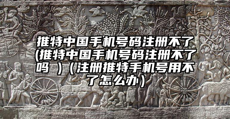 推特中国手机号码注册不了(推特中国手机号码注册不了吗 )（注册推特手机号用不了怎么办）