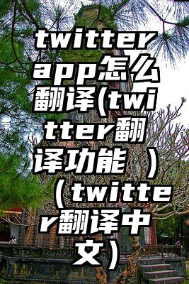 twitterapp怎么翻译(twitter翻译功能 )（twitter翻译中文）