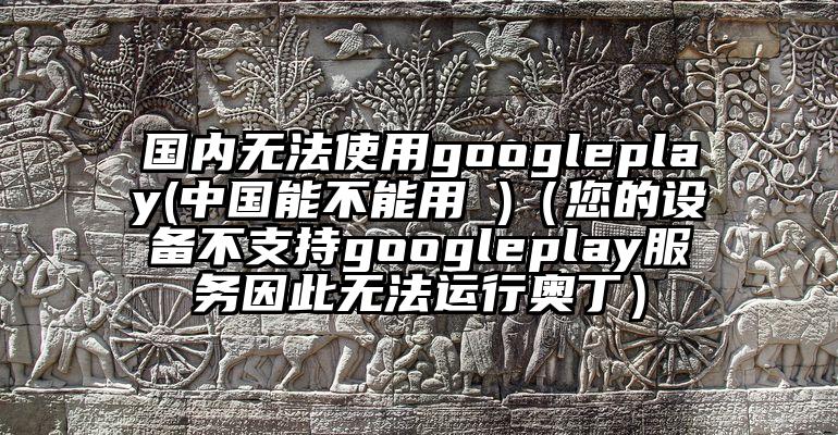 国内无法使用googleplay(中国能不能用 )（您的设备不支持googleplay服务因此无法运行奥丁）