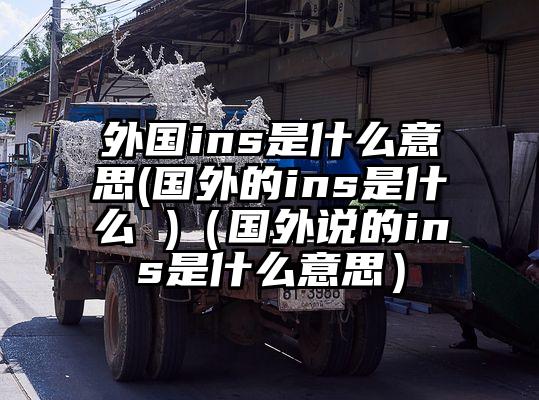 外国ins是什么意思(国外的ins是什么 )（国外说的ins是什么意思）