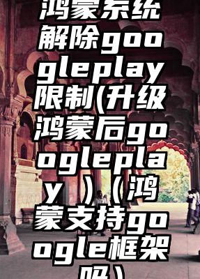 鸿蒙系统解除googleplay限制(升级鸿蒙后googleplay )（鸿蒙支持google框架吗）