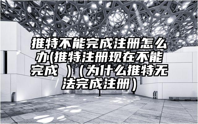推特不能完成注册怎么办(推特注册现在不能完成 )（为什么推特无法完成注册）
