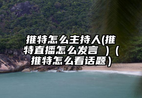 推特怎么主持人(推特直播怎么发言 )（推特怎么看话题）