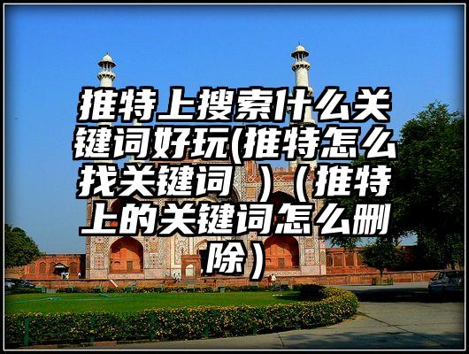 推特上搜索什么关键词好玩(推特怎么找关键词 )（推特上的关键词怎么删除）