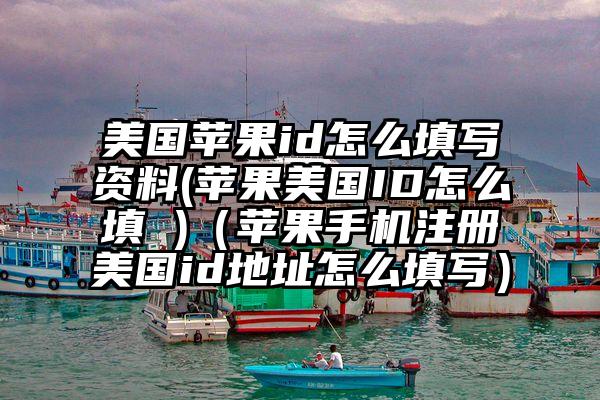 美国苹果id怎么填写资料(苹果美国ID怎么填 )（苹果手机注册美国id地址怎么填写）