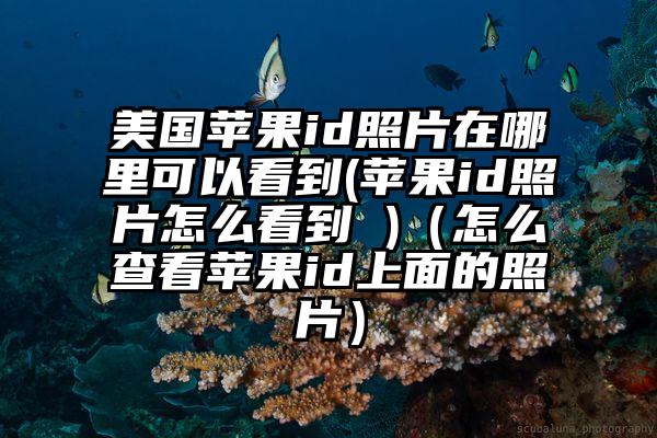 美国苹果id照片在哪里可以看到(苹果id照片怎么看到 )（怎么查看苹果id上面的照片）