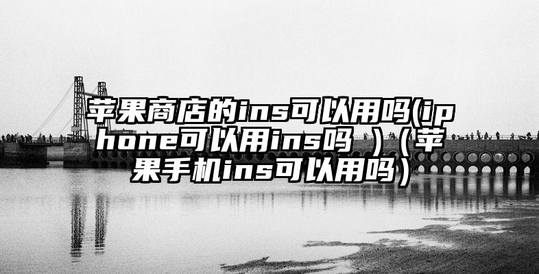 苹果商店的ins可以用吗(iphone可以用ins吗 )（苹果手机ins可以用吗）