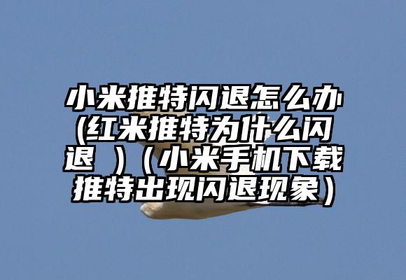 小米推特闪退怎么办(红米推特为什么闪退 )（小米手机下载推特出现闪退现象）