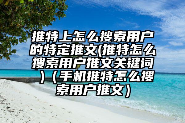 推特上怎么搜索用户的特定推文(推特怎么搜索用户推文关键词 )（手机推特怎么搜索用户推文）