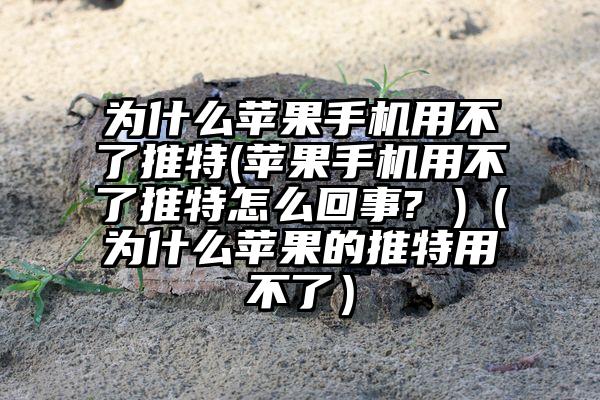 为什么苹果手机用不了推特(苹果手机用不了推特怎么回事? )（为什么苹果的推特用不了）