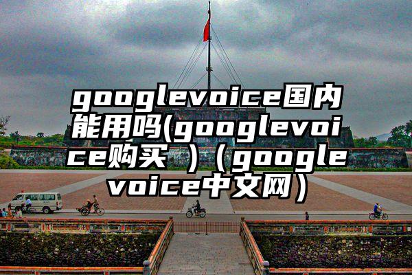 googlevoice国内能用吗(googlevoice购买 )（googlevoice中文网）