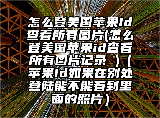 怎么登美国苹果id查看所有图片(怎么登美国苹果id查看所有图片记录 )（苹果id如果在别处登陆能不能看到里面的照片）