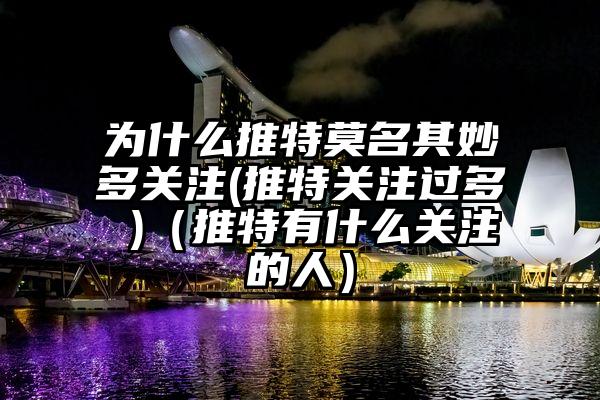 为什么推特莫名其妙多关注(推特关注过多 )(推特有什么关注的人)