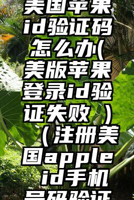 频繁收到美国苹果id验证码怎么办(美版苹果登录id验证失败 )（注册美国apple id手机号码验证）