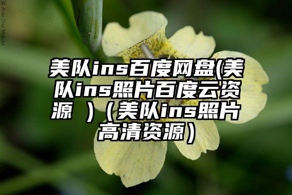 美队ins百度网盘(美队ins照片百度云资源 )（美队ins照片高清资源）