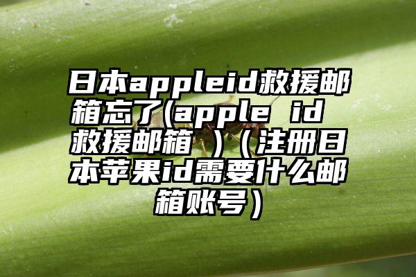 日本appleid救援邮箱忘了(apple id 救援邮箱 )（注册日本苹果id需要什么邮箱账号）