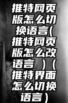 推特网页版怎么切换语言(推特网页版怎么改语言 )（推特界面怎么切换语言）