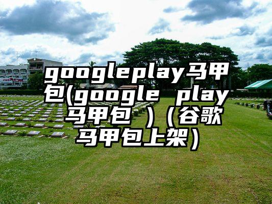googleplay马甲包(google play 马甲包 )(谷歌马甲包上架)