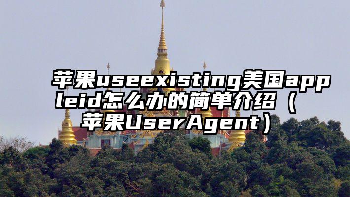 苹果useexisting美国appleid怎么办的简单介绍（苹果UserAgent）