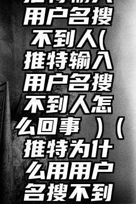 推特输入用户名搜不到人(推特输入用户名搜不到人怎么回事 )（推特为什么用用户名搜不到人）